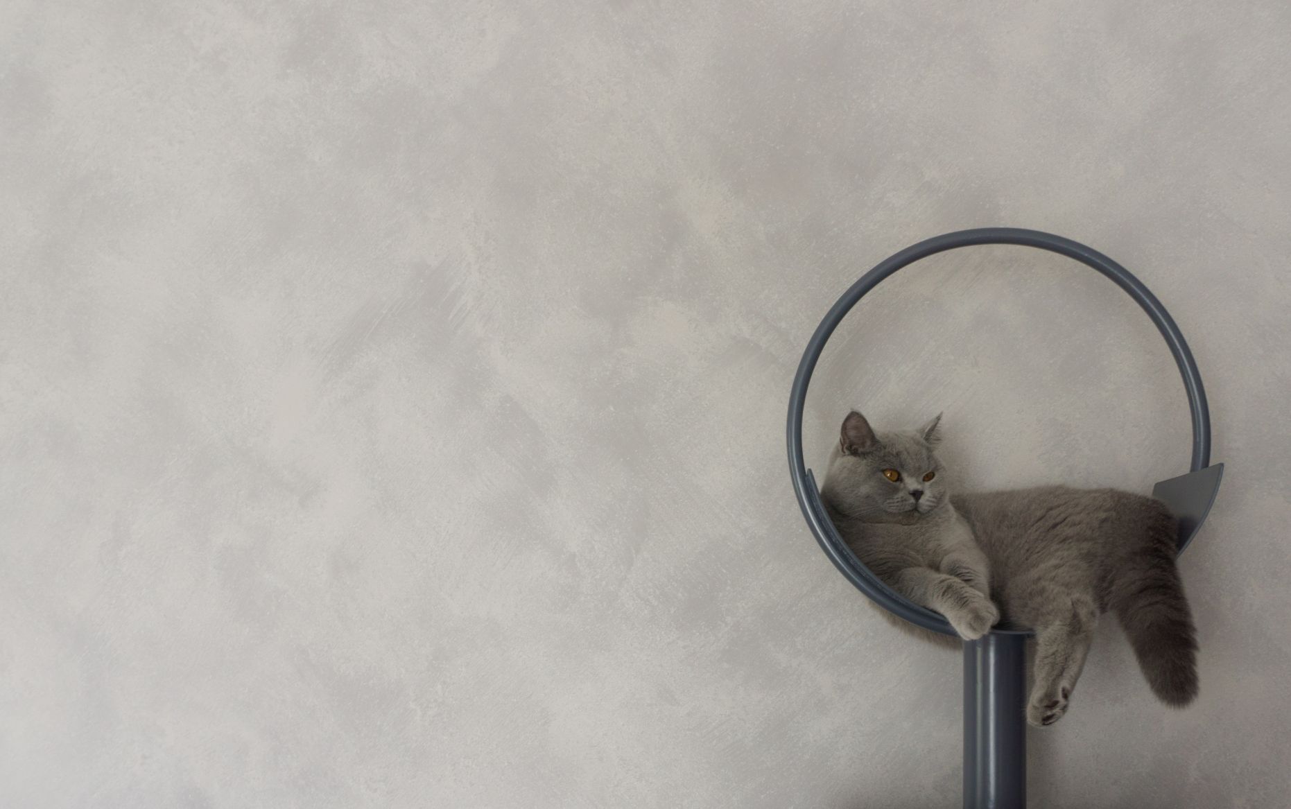 平层丨SmoothLines-20