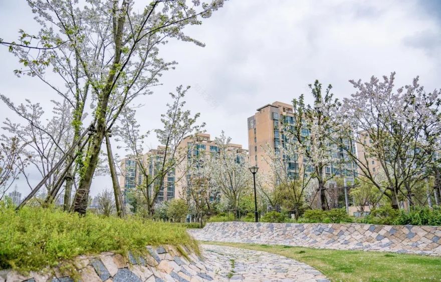 上海松江方松体育公园-31