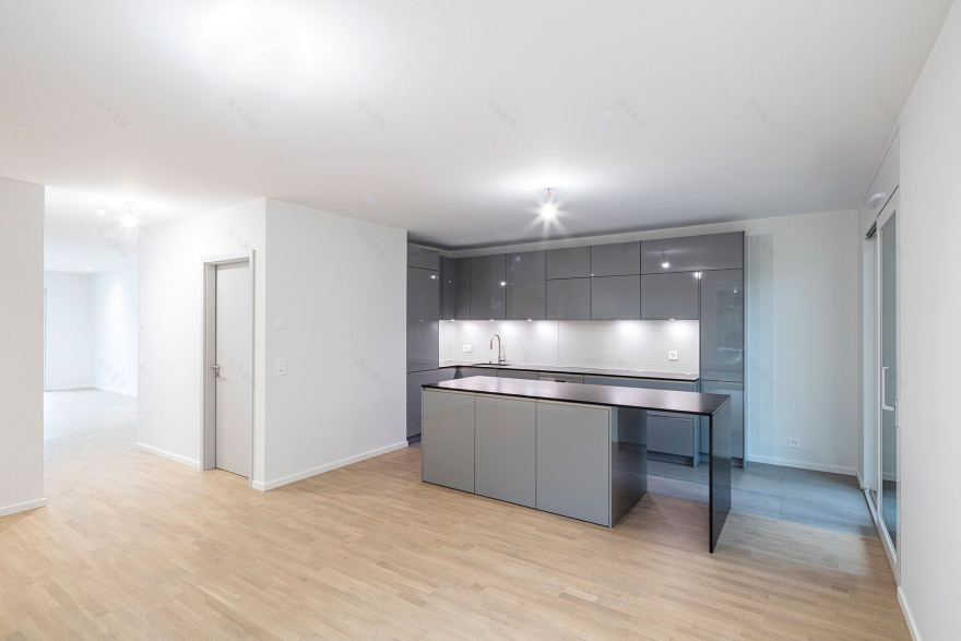 丨文本未提及-10