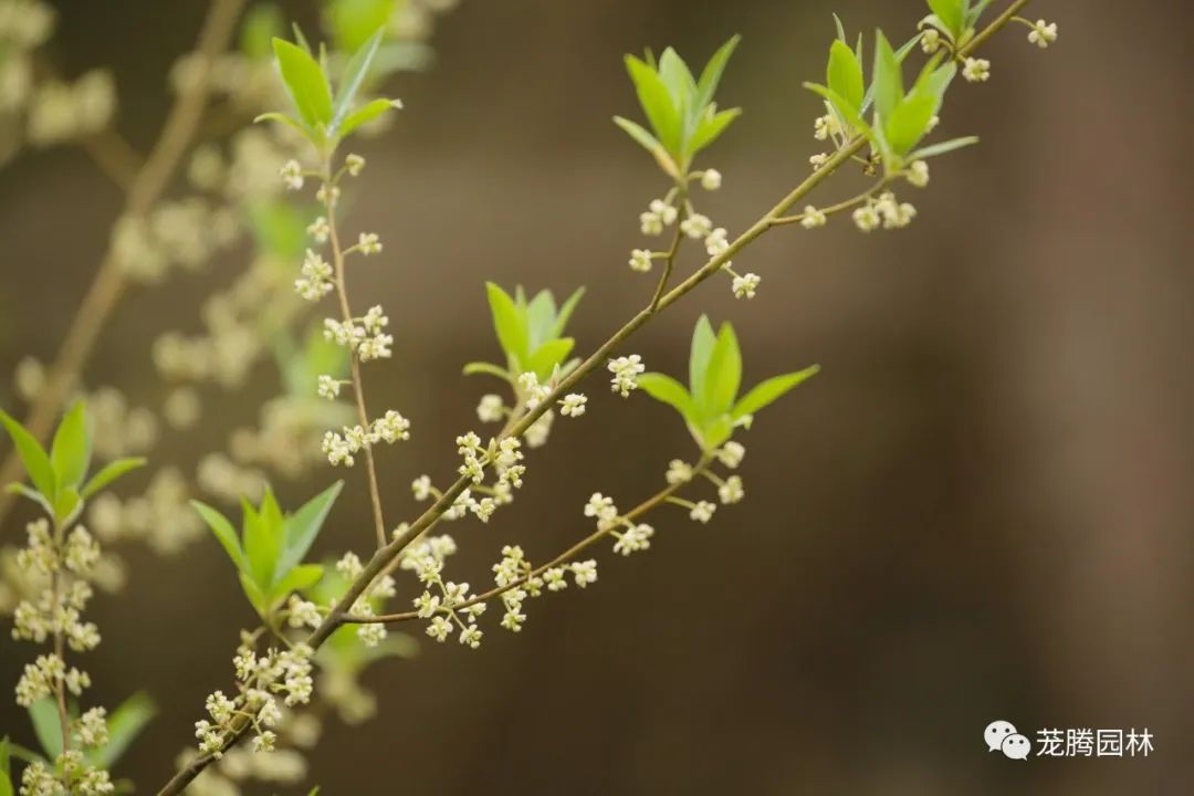 行走的茏腾人 | 深秋韶关的自然之美-26