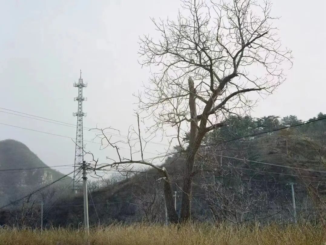 白河——当建筑成为媒介，设计如何让人回到普通生长-32