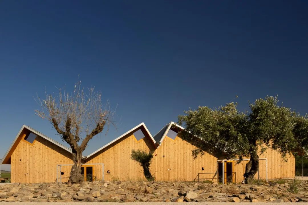 广州首个电摩营地丨中国广州丨勾勾手设计网-26