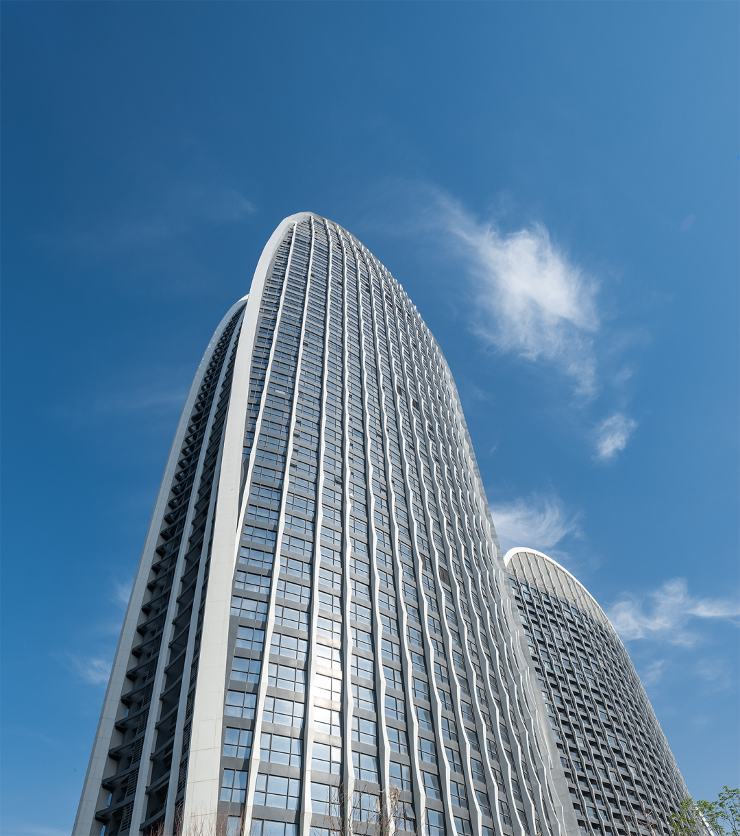 捷报▏青岛海岸线再添新地标！世茂悦海以自然之名，塑写时代美学【实景呈现】-35