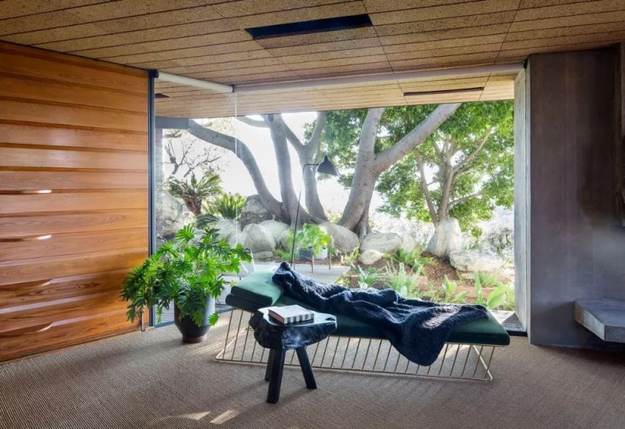 纽约曼哈顿高层住宅,杰米·布什的自然历史艺术设计-84