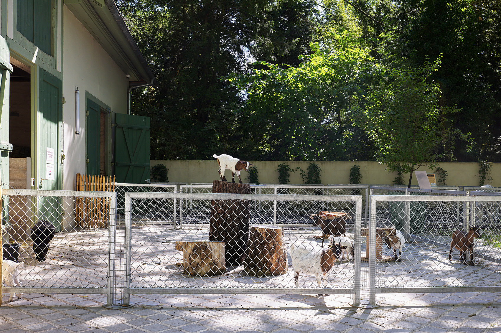 斯特拉斯堡动物园教学农场改造&游客中心，法国 / FREAKS-23