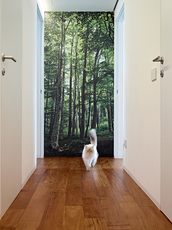 丨意大利特伦托-27