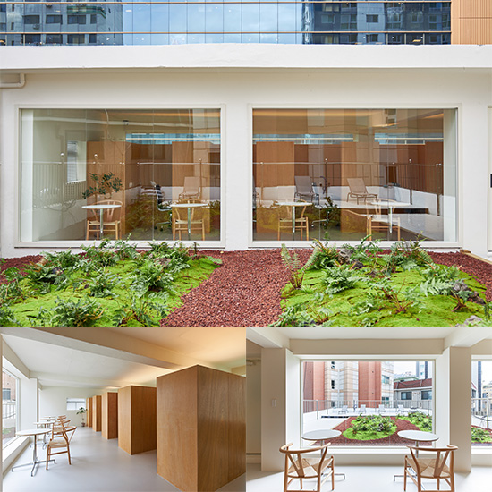 白色与木色，打造 24 平米共享办公室的极简魅力-1