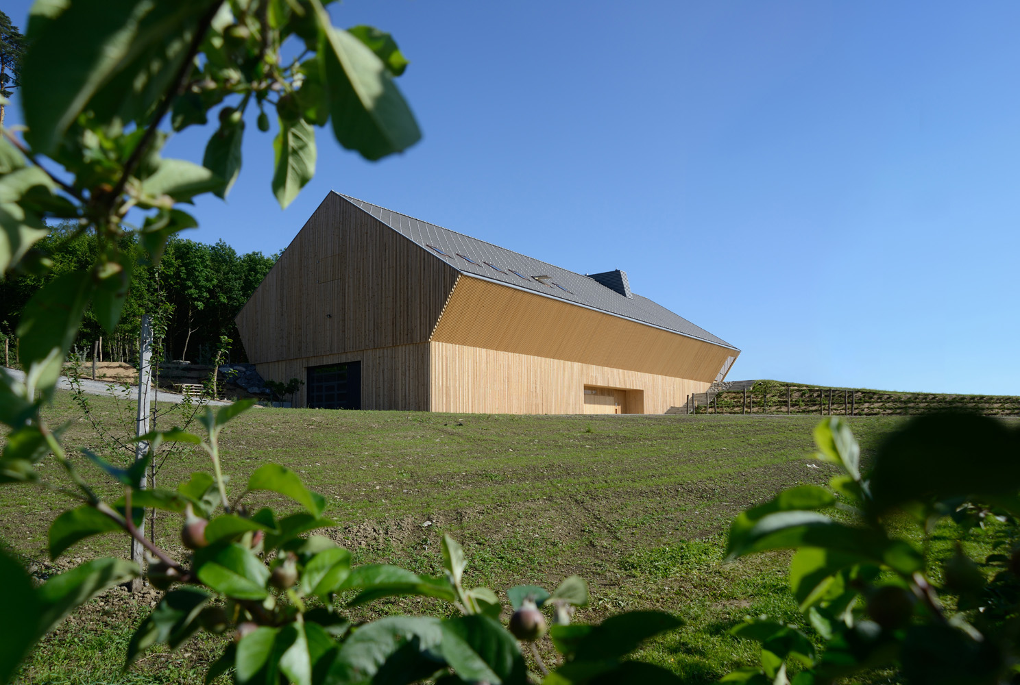 Weingut Schmidt am Bodensee | Windery | Ludescher + Lutz Architekten-18