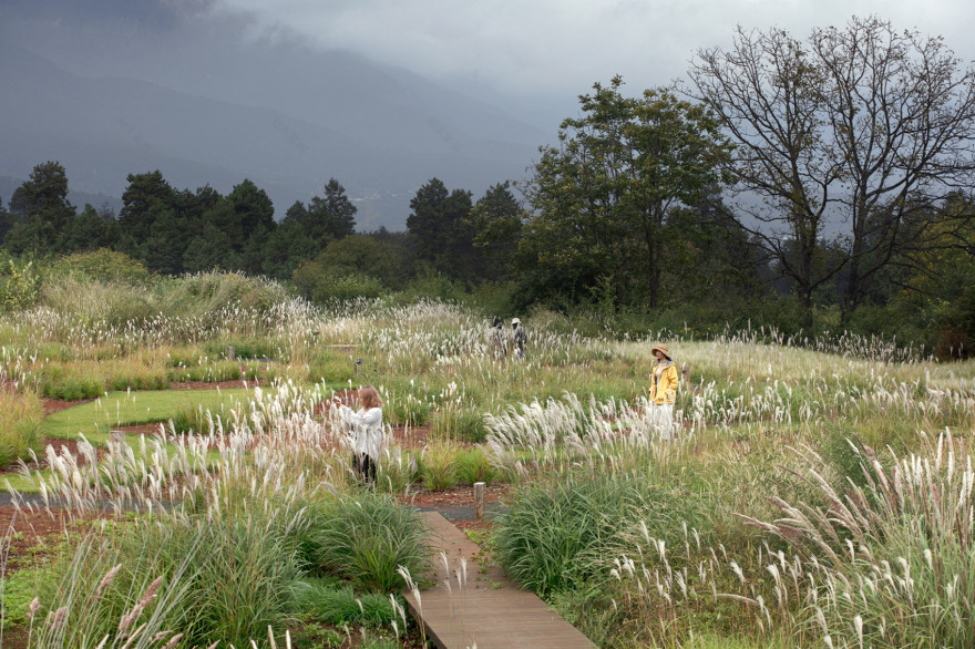 荒野花园和草甸剧场丨中国白沙丨Z’scape致舍景观-44