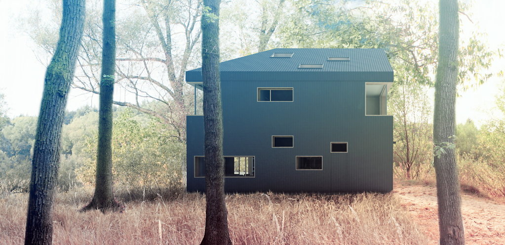 Дом RWH (ROCKWOOLHOUSE)（RWH住宅）-9