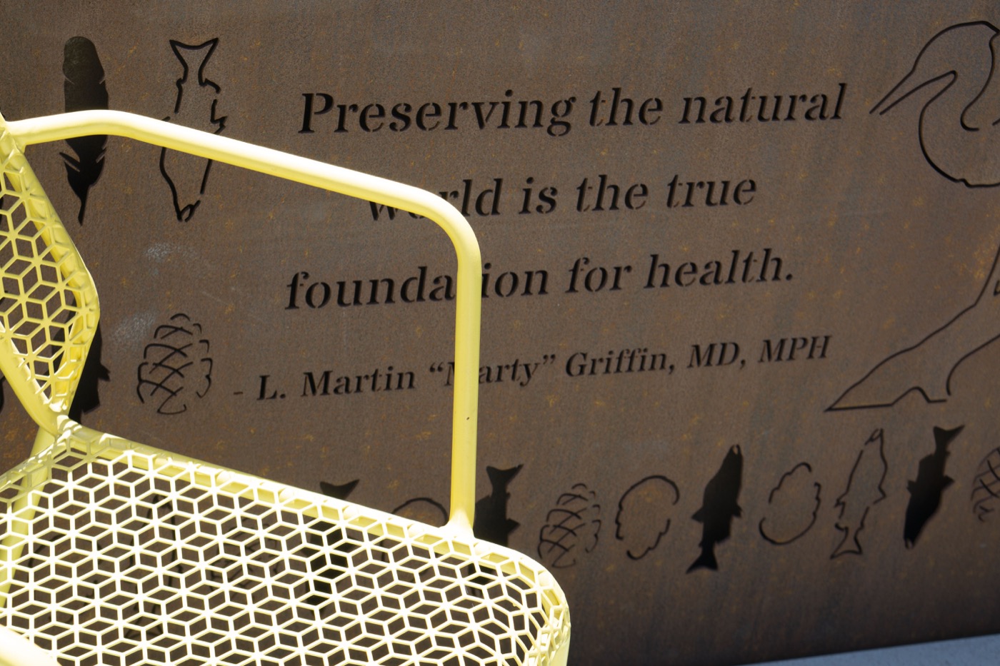 伯克利公共卫生学院格兰芬 terrace 花园丨Groundworks Office-7