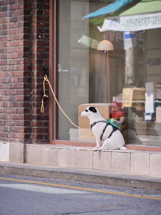 PINOCCHIO 手工冰淇淋咖啡馆丨韩国首尔丨WARP AND WOOF-15