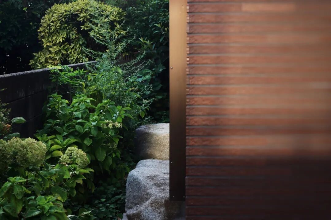 未明确提及丨日本福冈-30