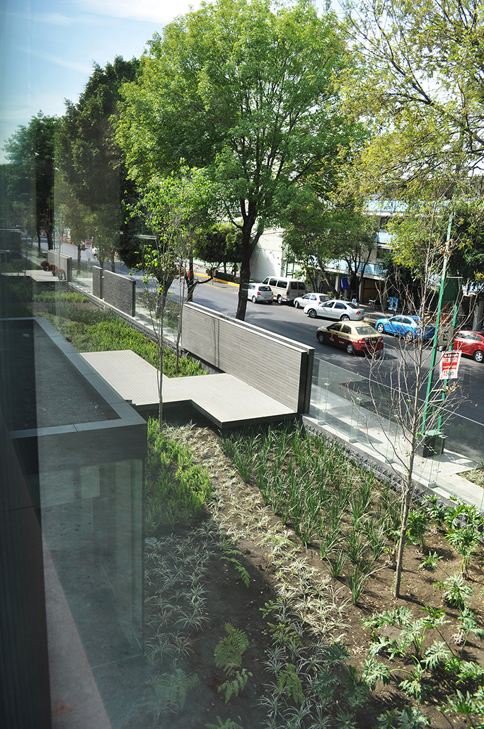 Coyoacán公司校园-26