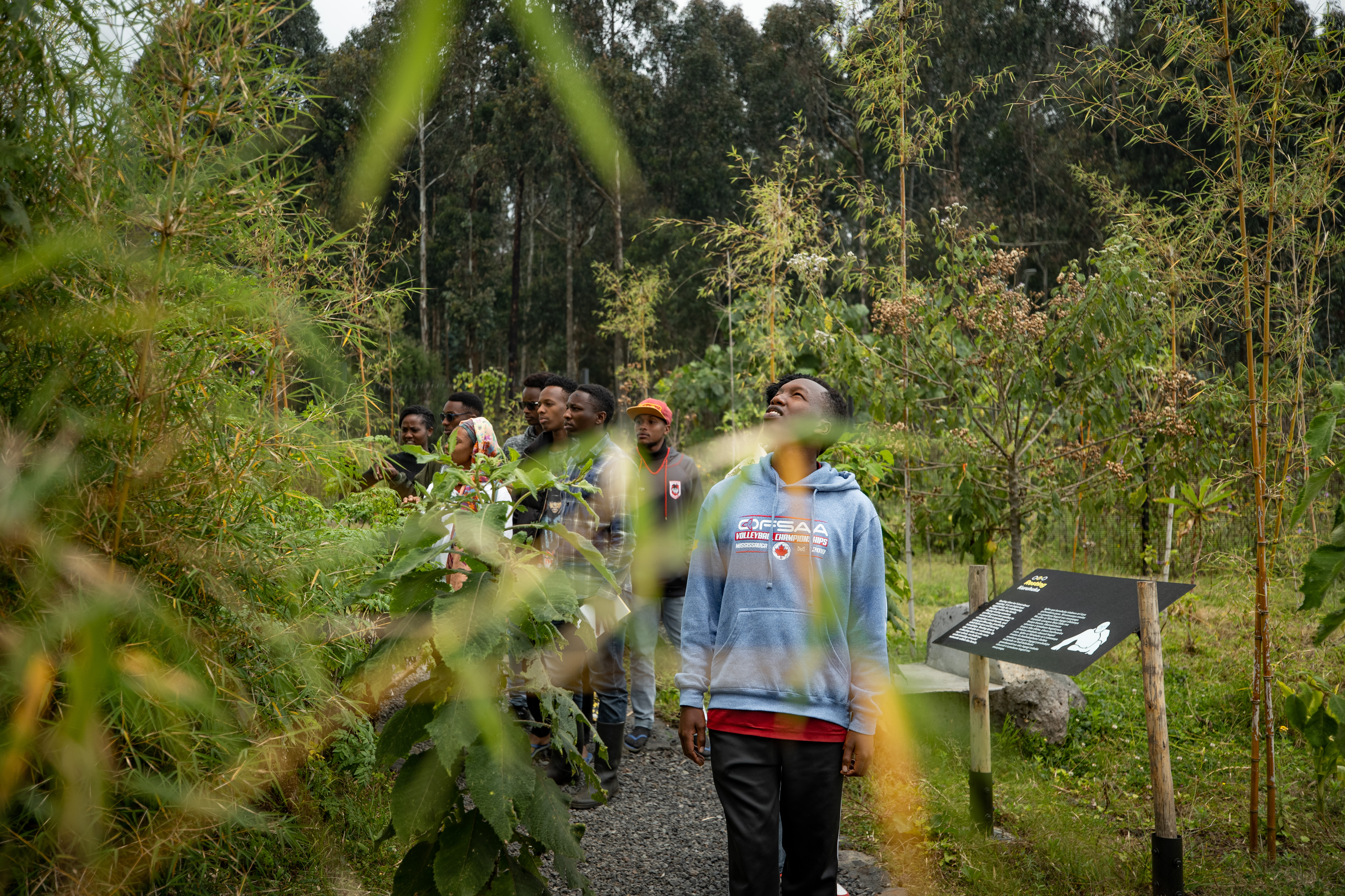 The Ellen DeGeneres Campus of the Dian Fossey Gorilla Fund | MASS Design Group-71