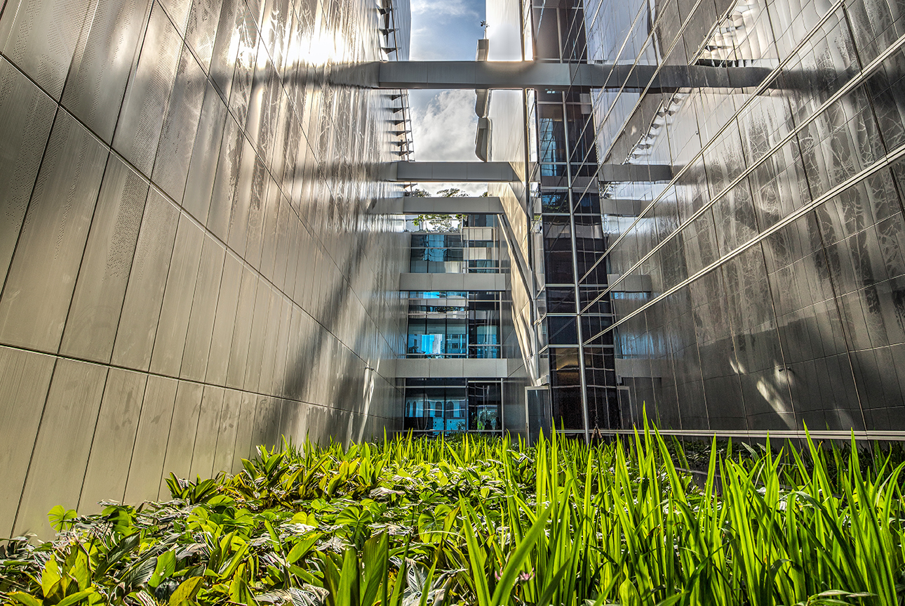 A Vertical Urban Park within Singapore’s Commercial Heart-5