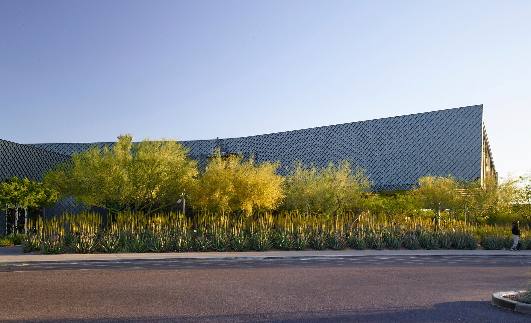 Desert Broom Public Library-31