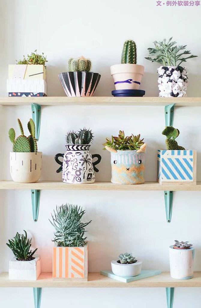 多肉植物的室内设计魅力-10