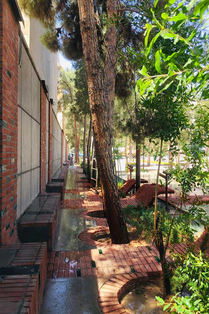 بوستان سه کنج（波斯语,可音译为“三角落花园”）丨伊朗-48