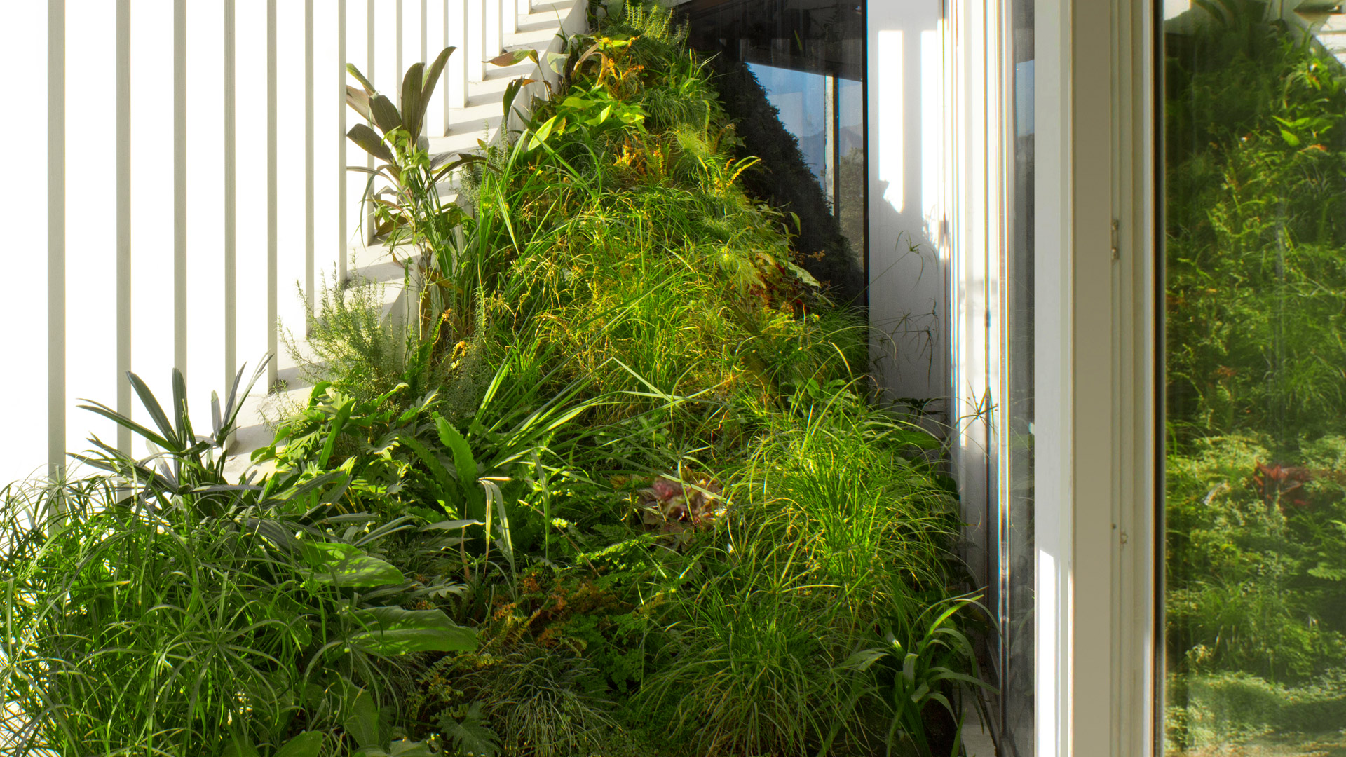 眼眸·地图设计丨尼泊尔-42