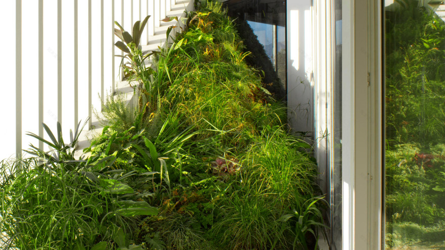 眼眸·地图设计丨尼泊尔-42