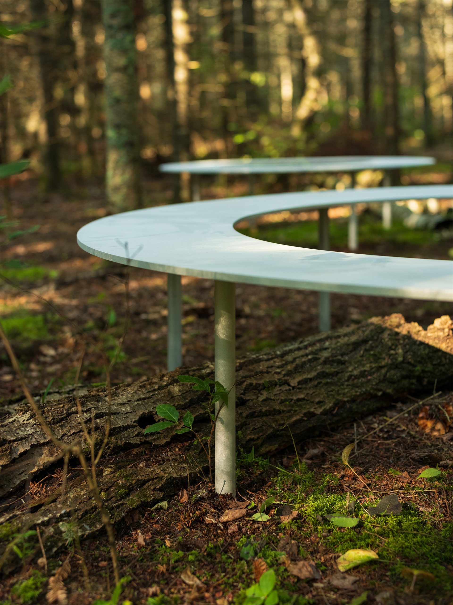 嵌套循环丨加拿大维多利亚丨Thom Fougere-12