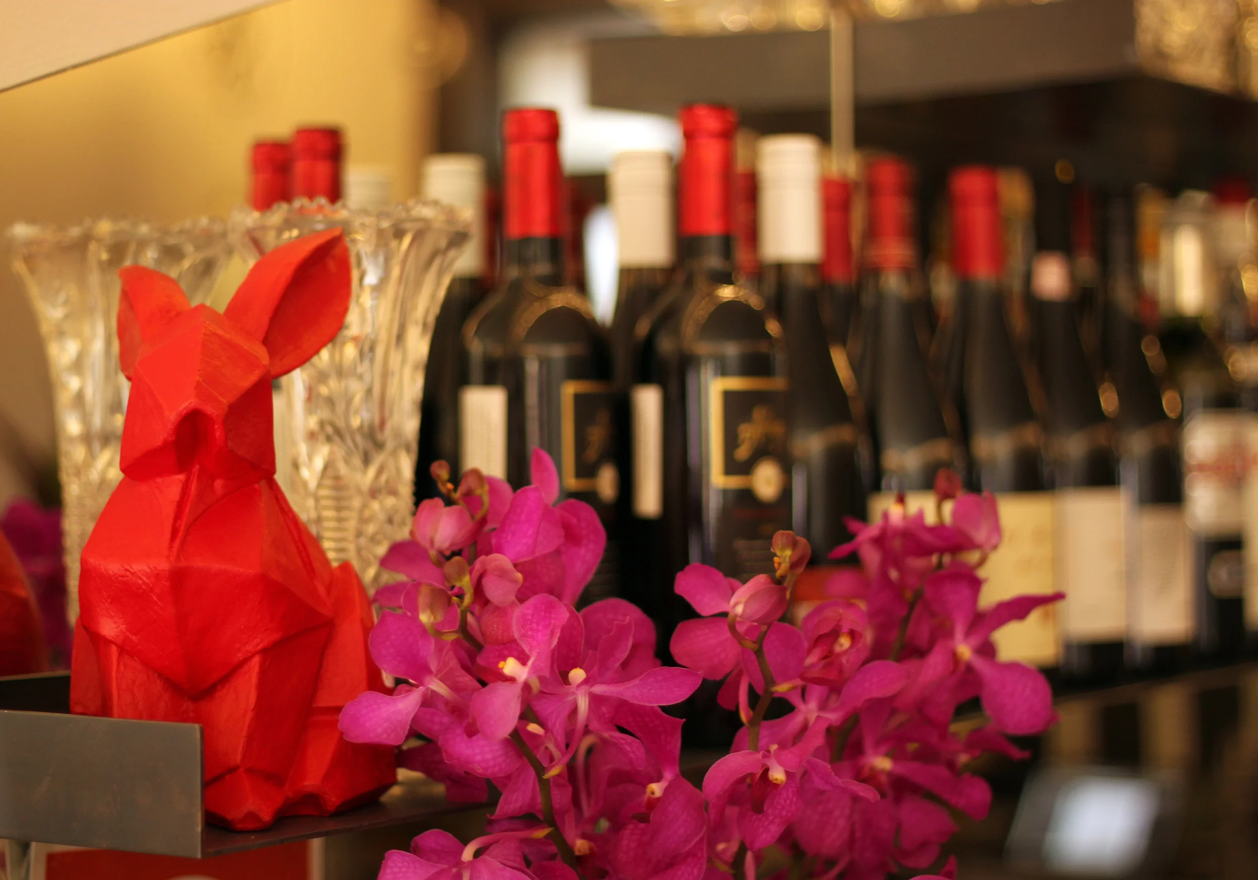 红色兔子丨澳大利亚悉尼丨aplin creative-36