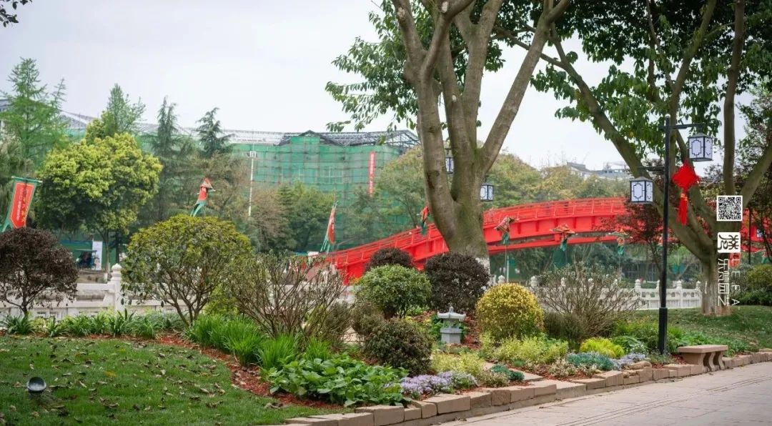 丹棱春色 · 古韵新颜,漫山幸福花开丨中国眉山丨乐梵-29