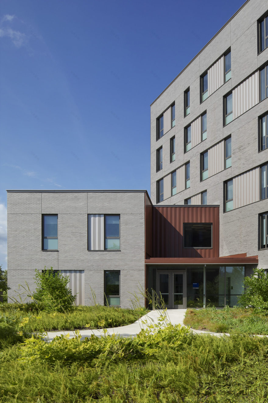 University of Rhode Island Brookside Apartments and Landscape Restoration - Sasaki-12