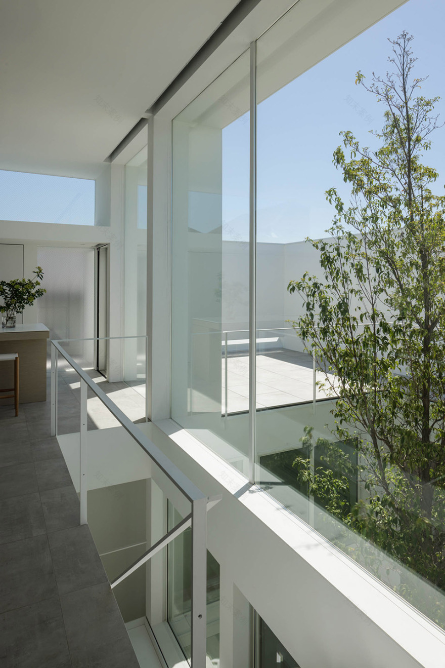 日本漂浮庭院住宅丨日本东京丨Takuro Yamamoto Architects-30