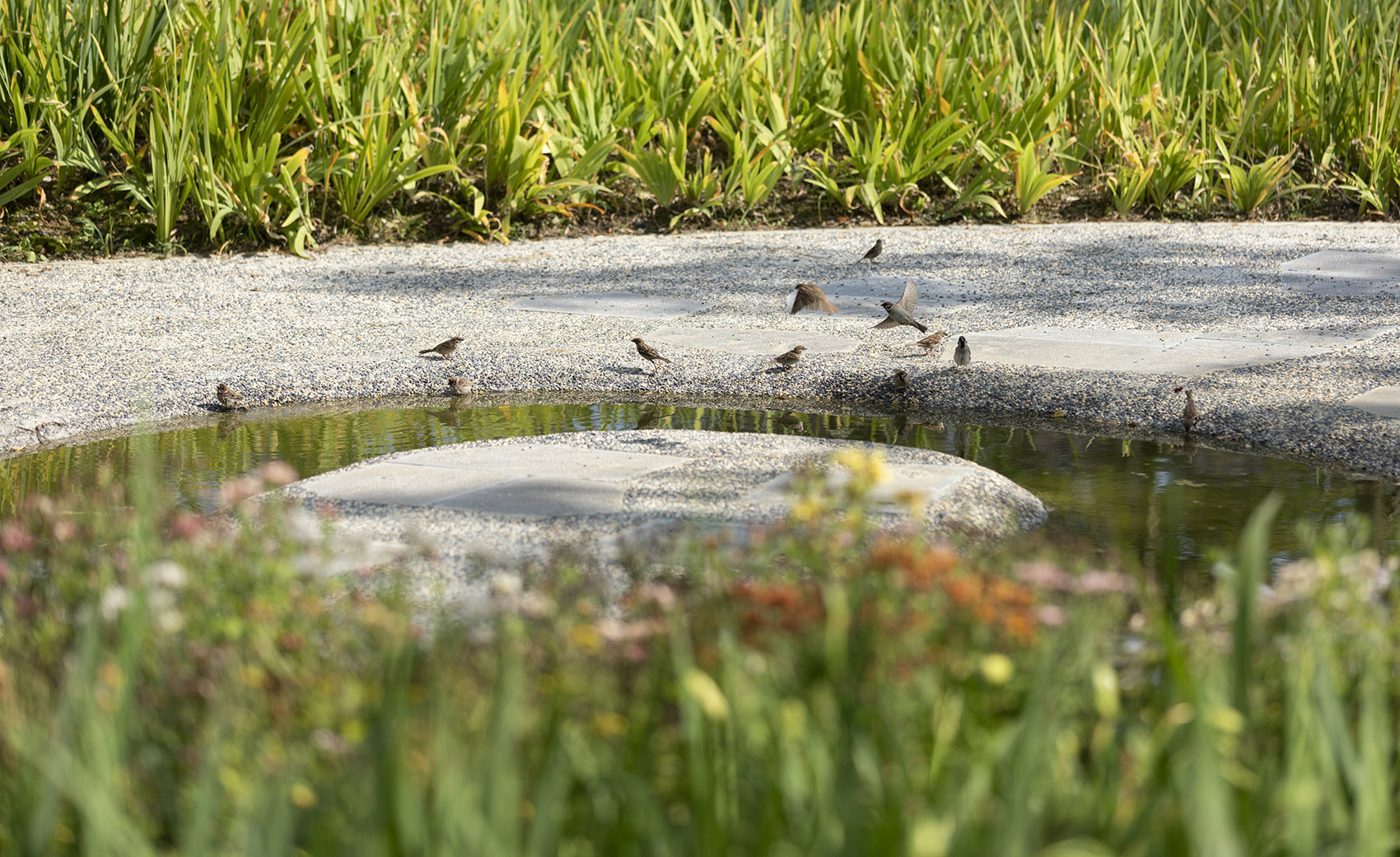 贵州安顺虹山湖市民公园-46