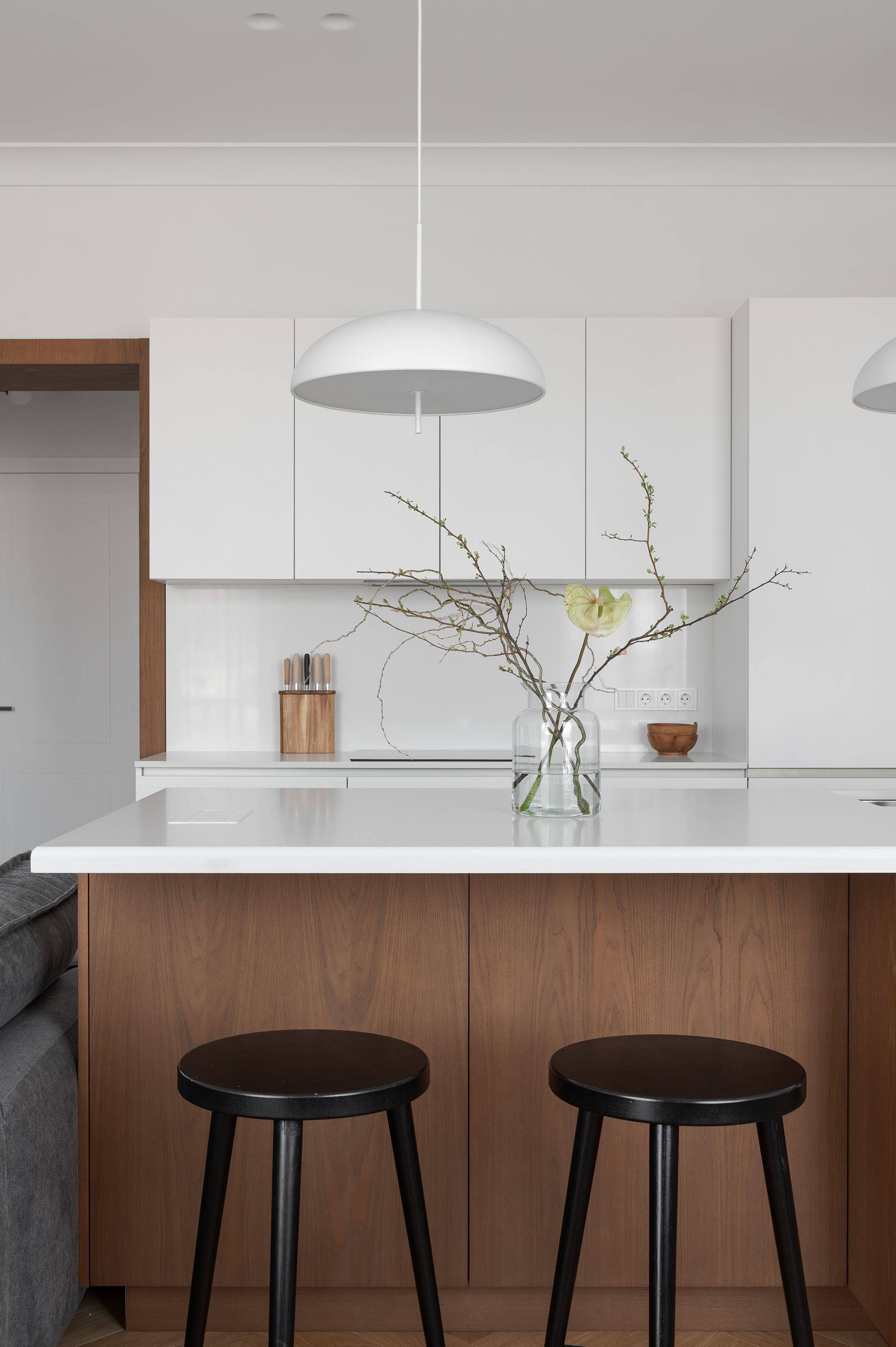 Apartment in a historic building-2