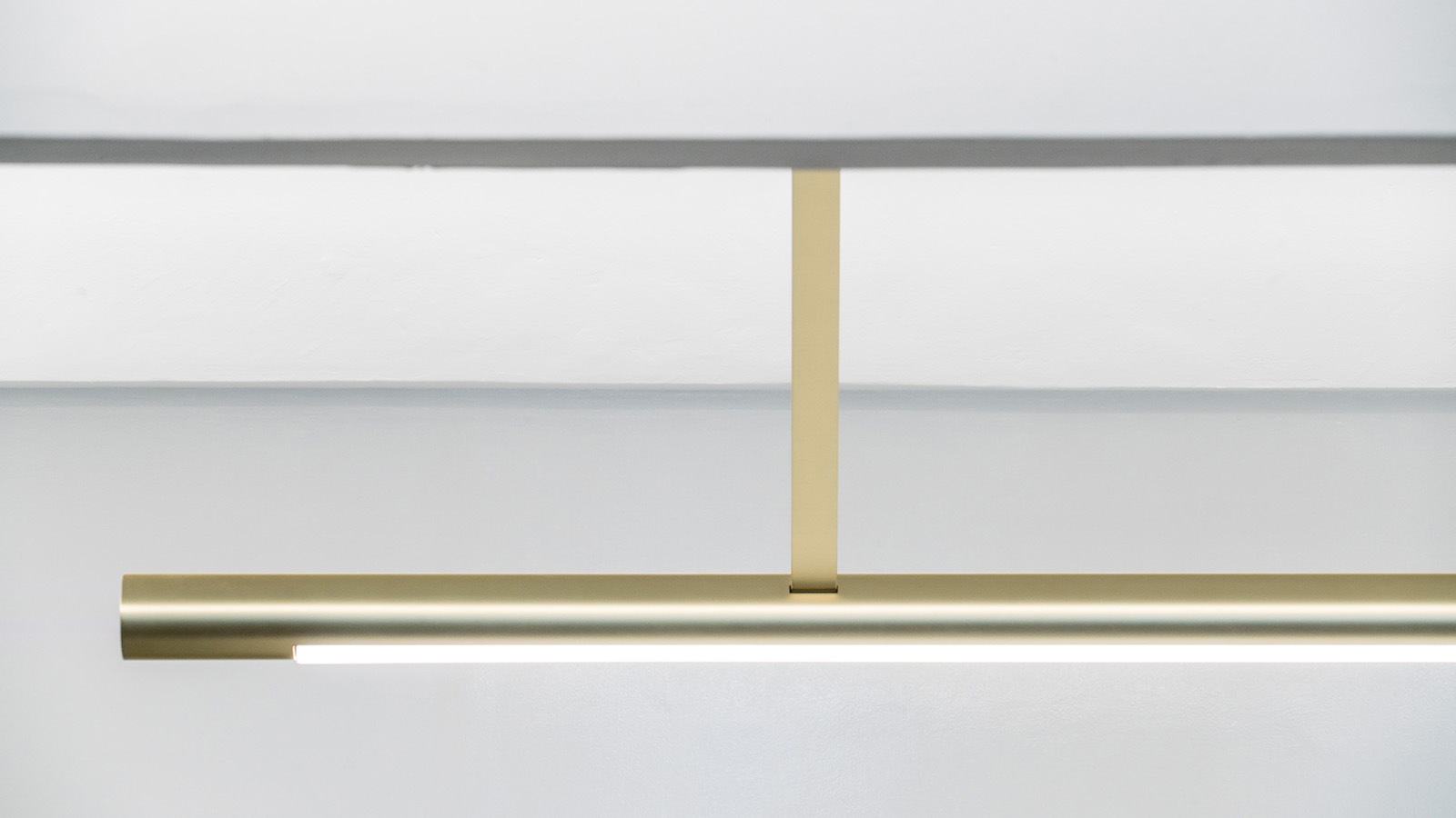 wondertrunk and co  I IN-9