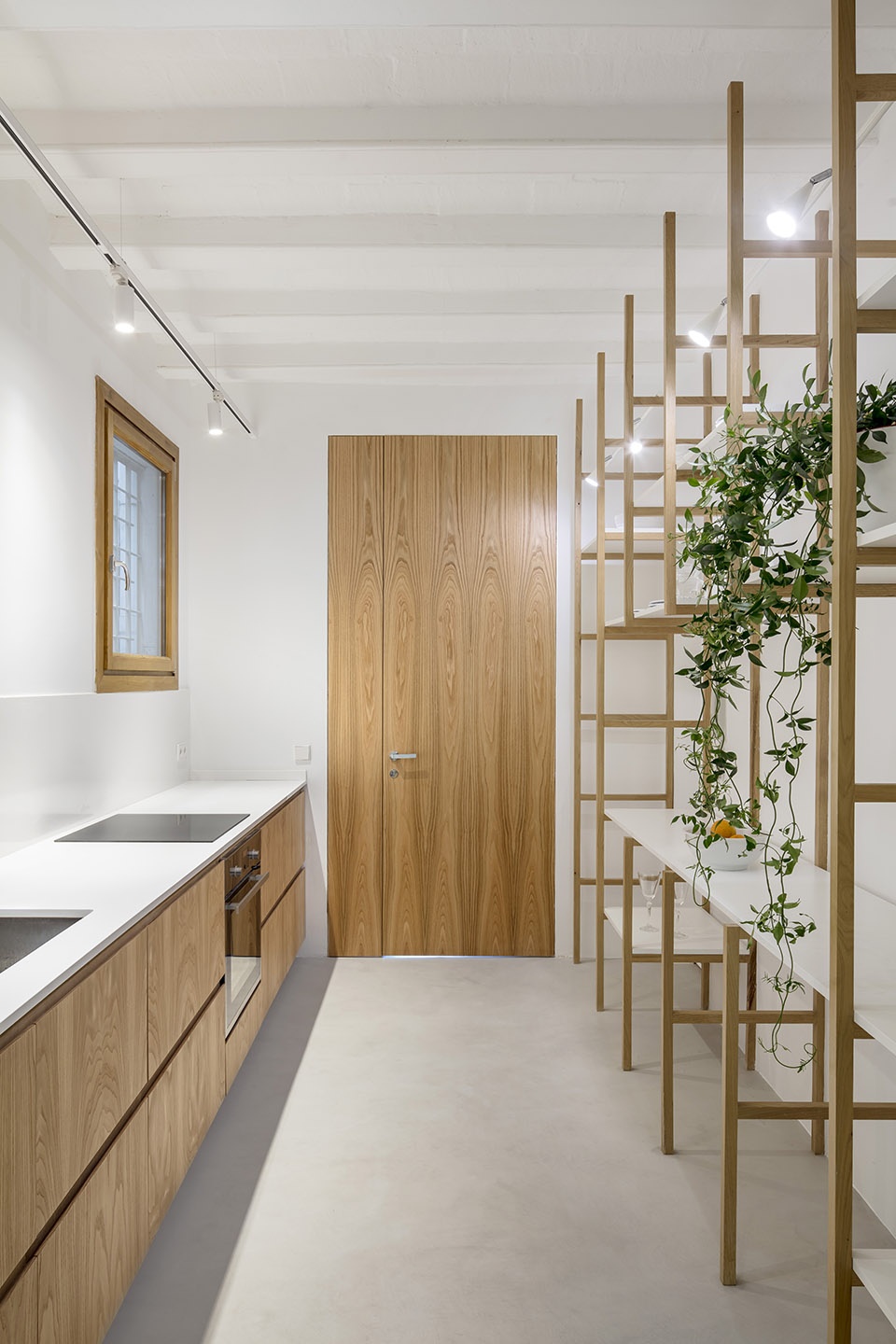 巴塞罗那十九世纪阁楼住宅,空间重塑与自然融合-46