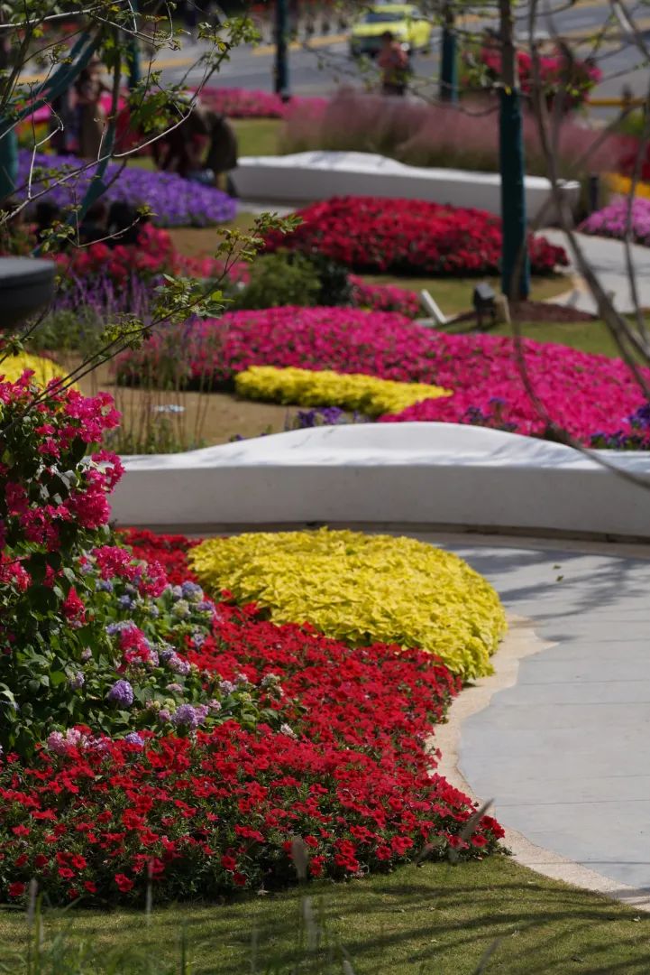 外滩秘境 | 城市花园的时空穿越-161