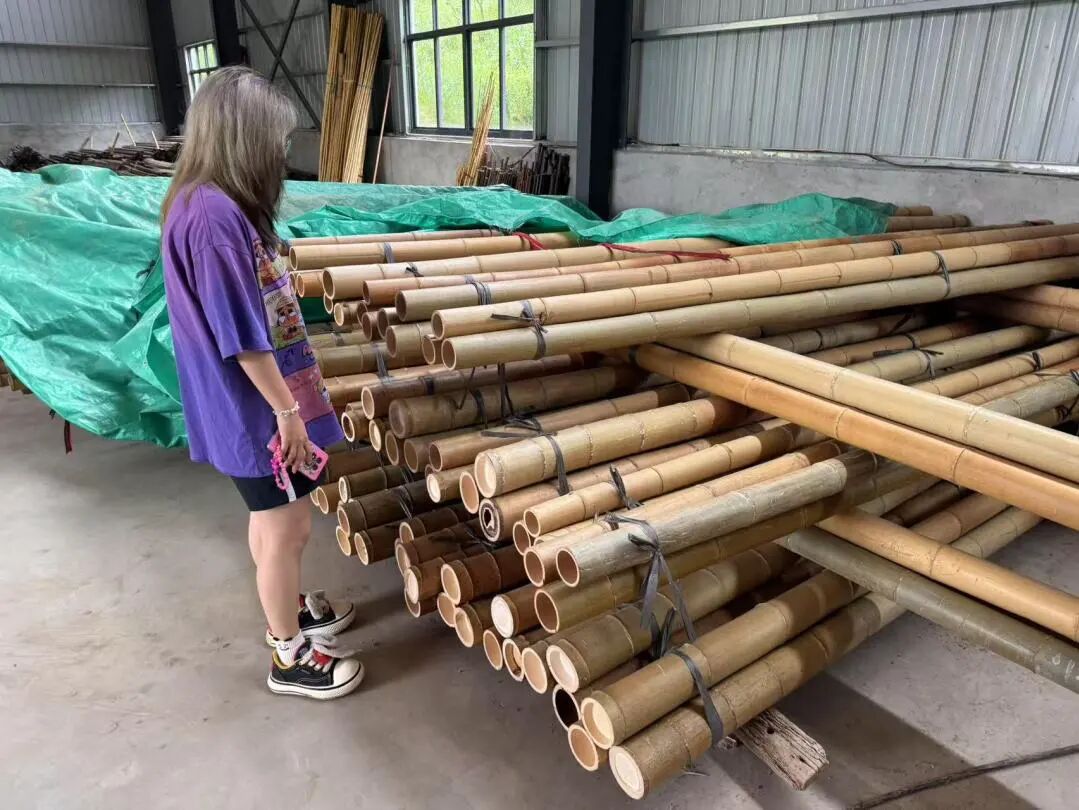 直击赛况1：苏州大学M.E.S.H.工厂建造全速启动！-32