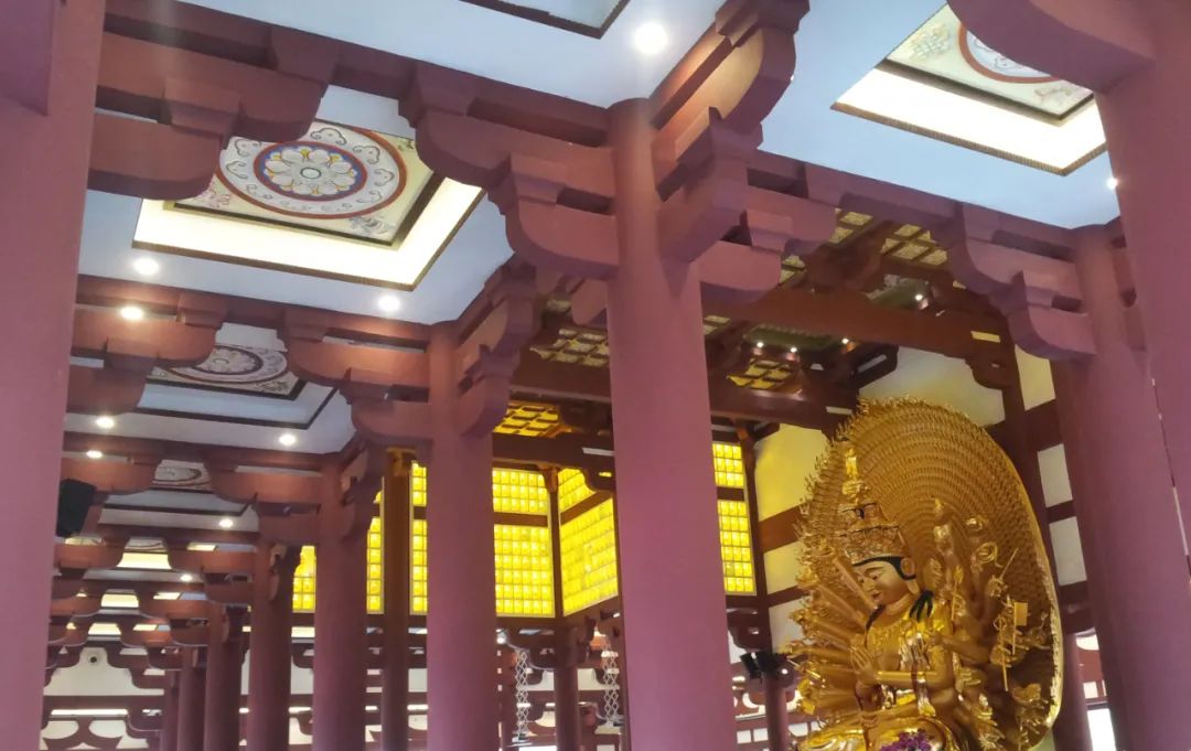 陈少群 | 室内设计中的自然、环保与健康-77