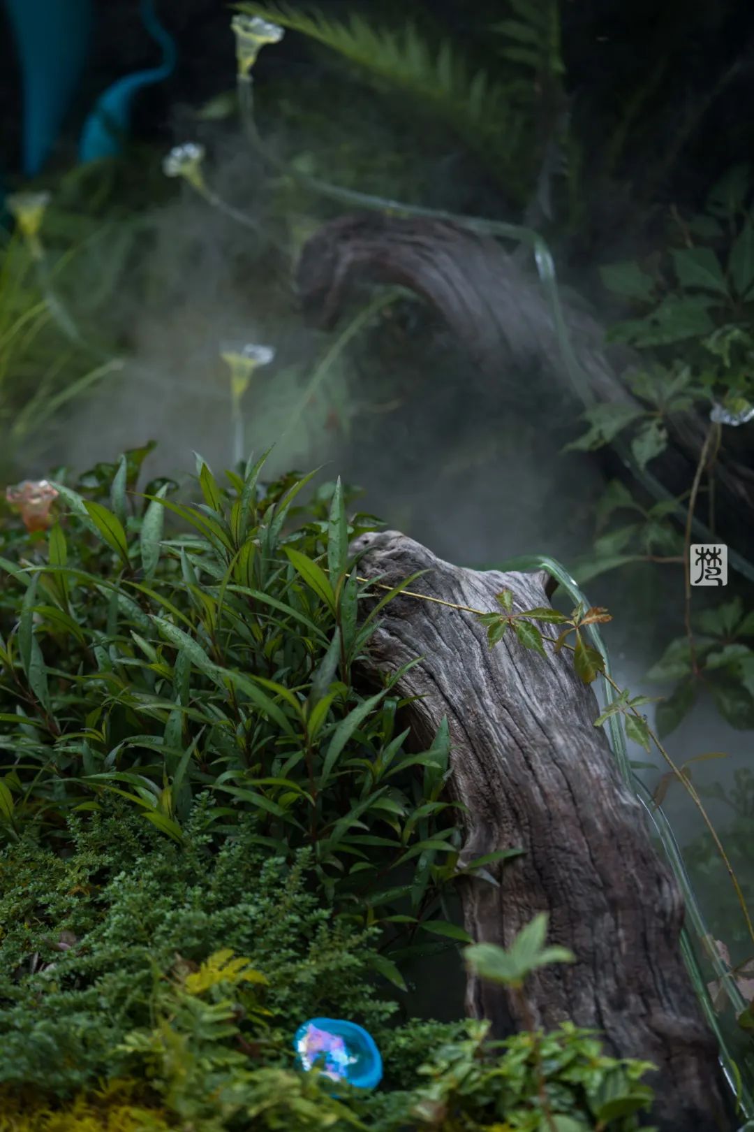 麓湖 B2 黑鉐样板岛丨中国成都丨乐道景观-103