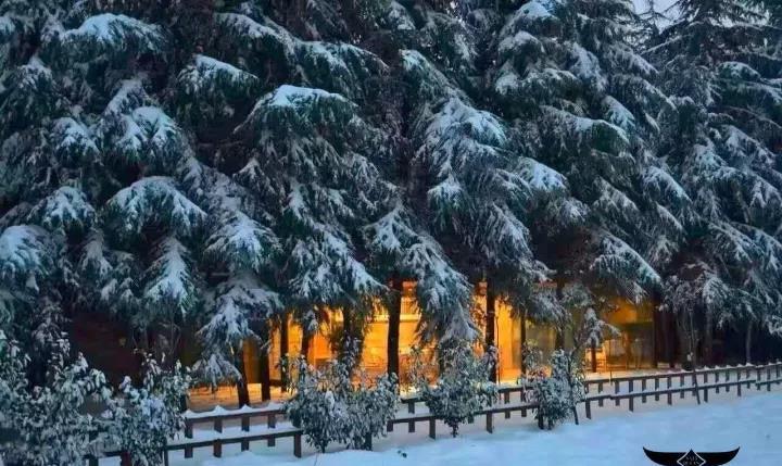 洛阳国花园里的“那里布凡”设计事务所-20