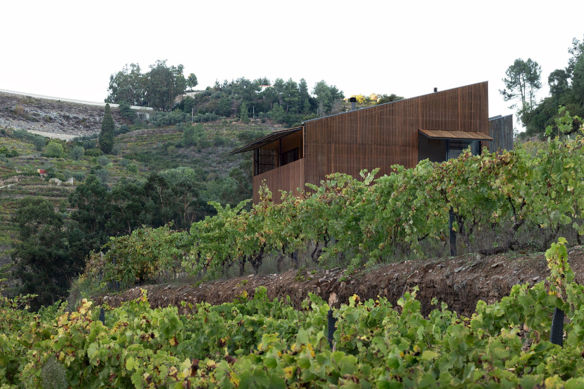 拉加尔宅邸丨Colajj-26