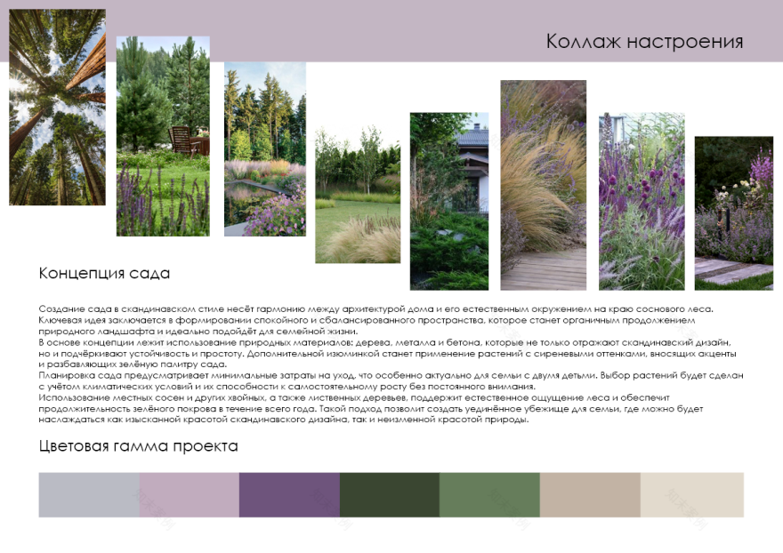 “На краю леса”花园概念与可视化设计-15