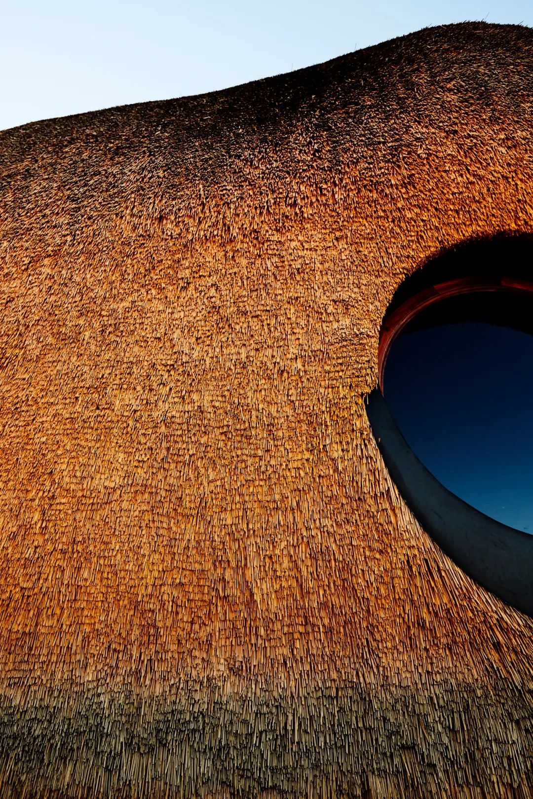 自然之居,童话之美——有机建筑的人与自然和谐共处-70