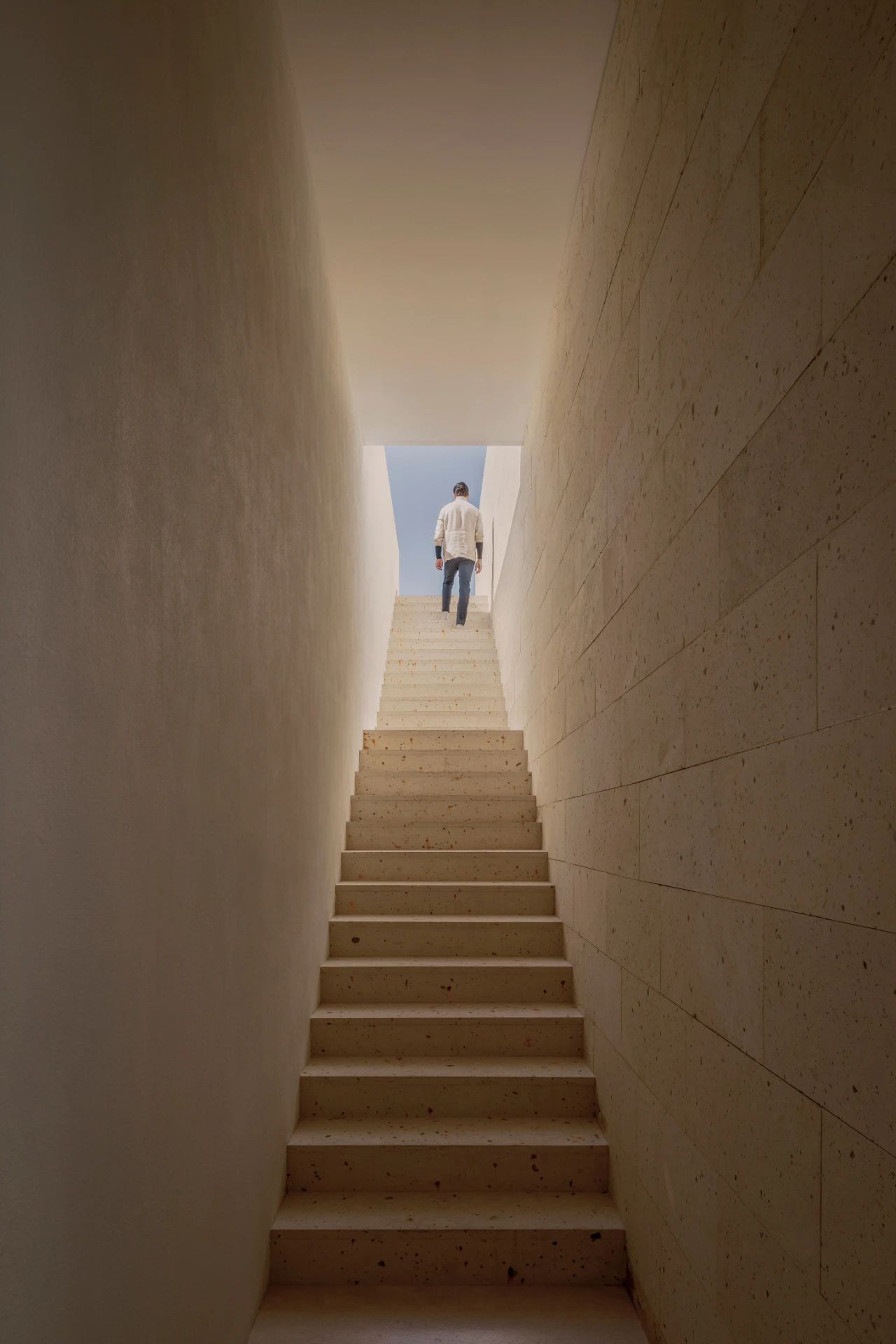 无相之相丨澳大利亚悉尼丨Lachlan Seegers Architect-39