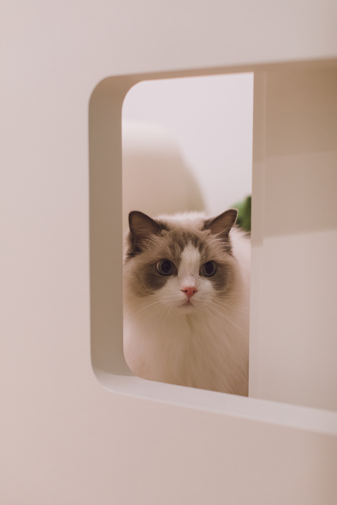 新作 · 余颢凌｜深圳700㎡ 半山观海别墅丨中国深圳丨STUDIO.Y室内设计事务所,四川尚舍家室内设计-208