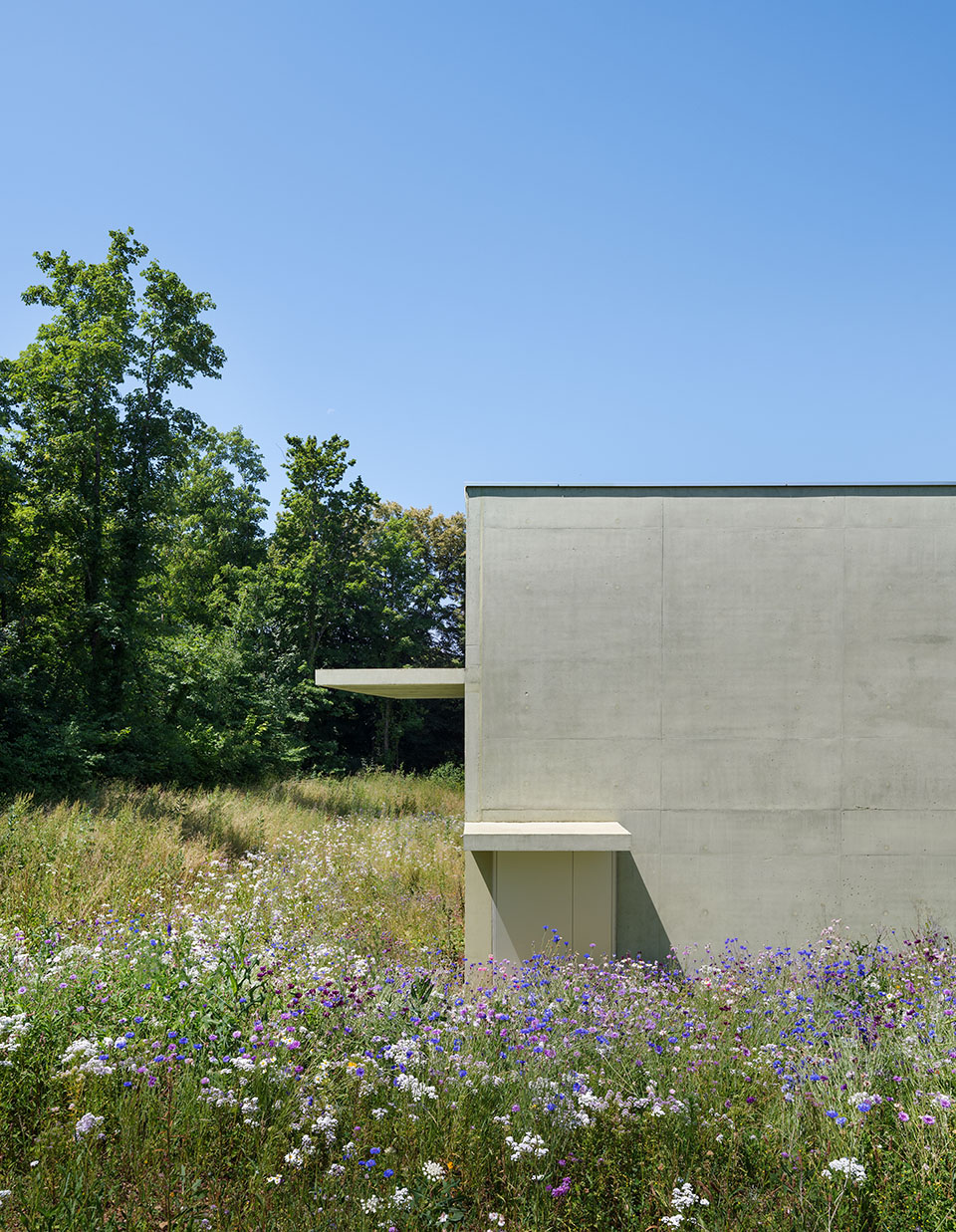 弗朗什 孔泰高级工程学院(ISIFC)新建筑设计丨法国贝桑松丨Dominique Coulon & Associés-11