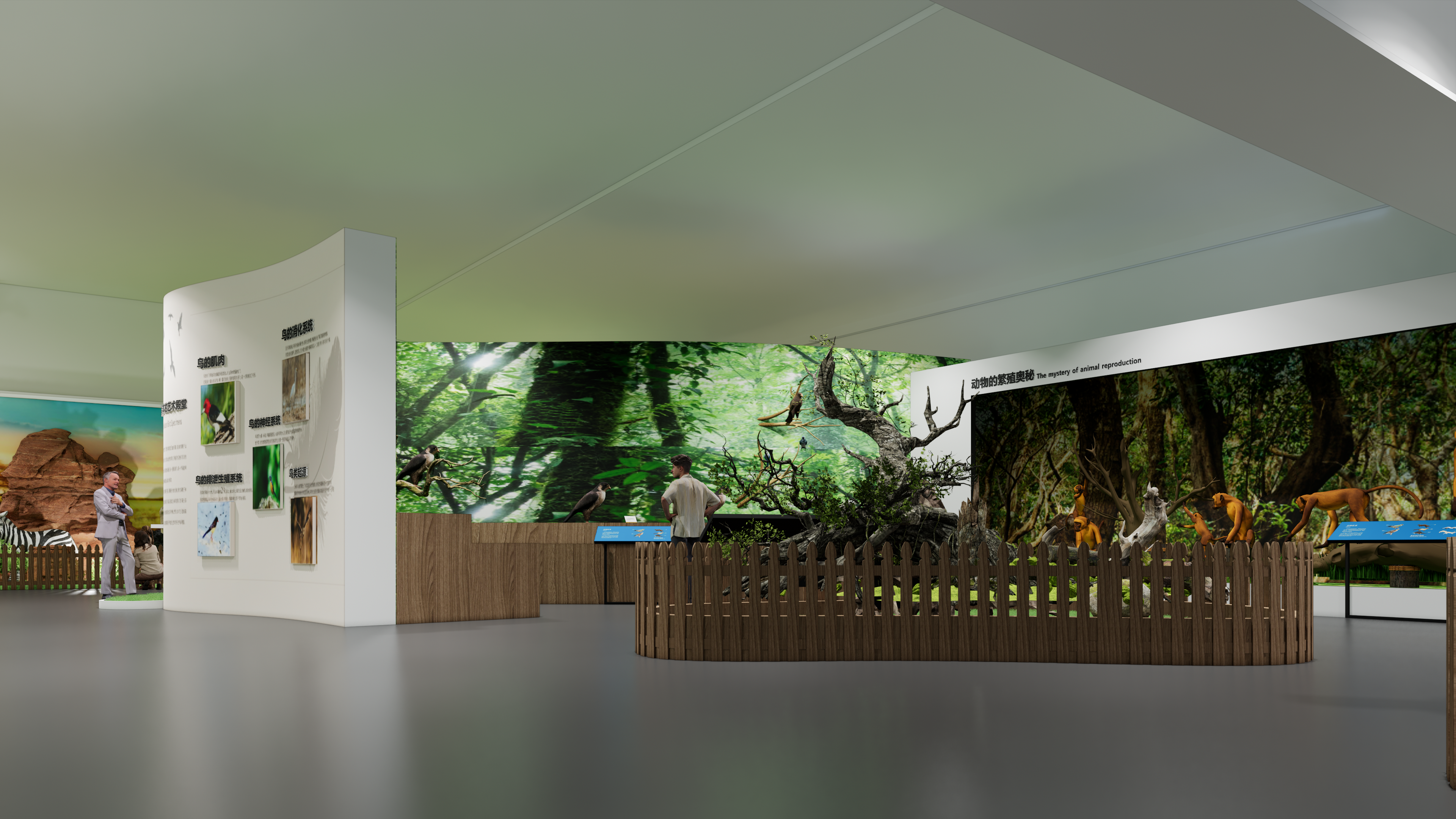 岳阳大熊猫基地-标本展-5