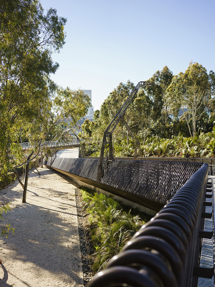 Tanderrum Pedestrian Bridge  John Wardle Architects  + NADAAA + Oculus-29