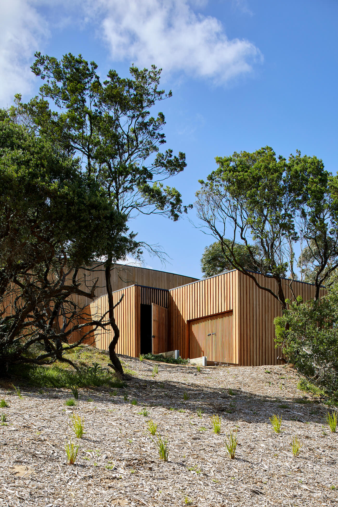 海德豪斯丨澳大利亚丨MRTN Architects-37