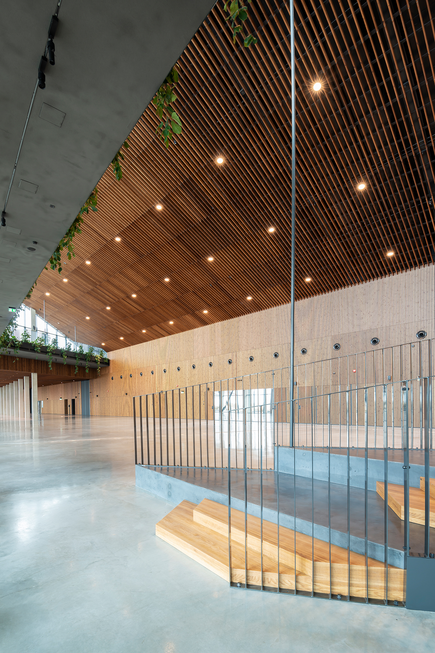 塔林新游轮码头-29