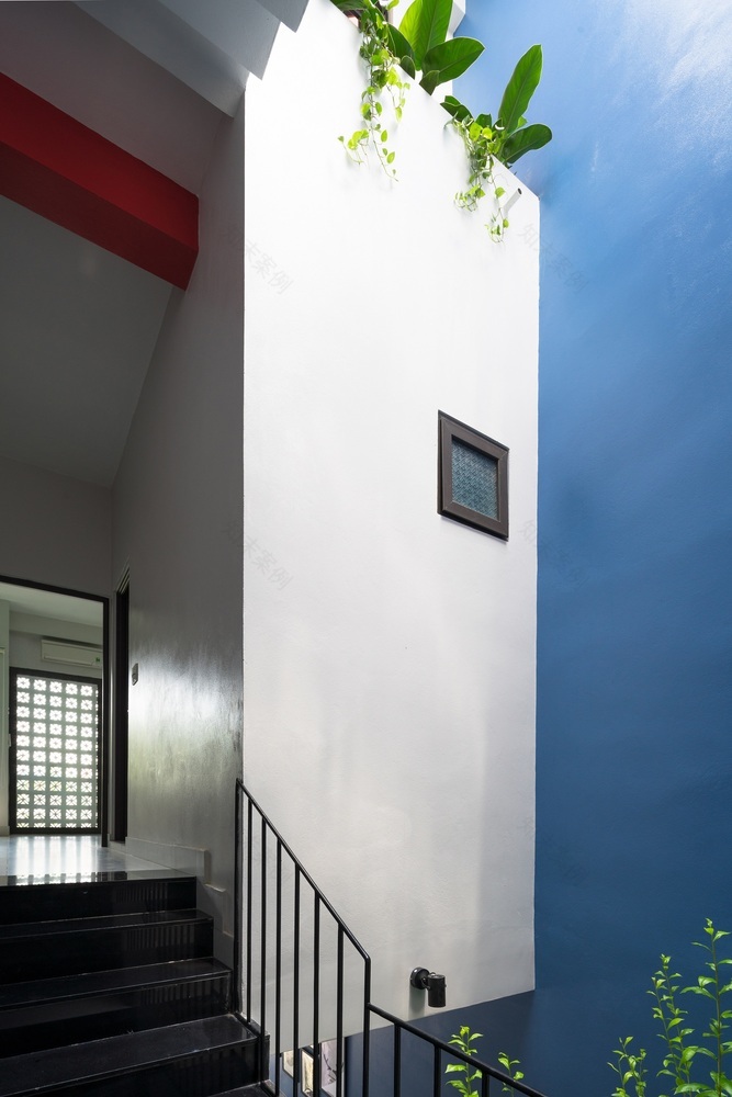 绿意盎然的光之屋-63